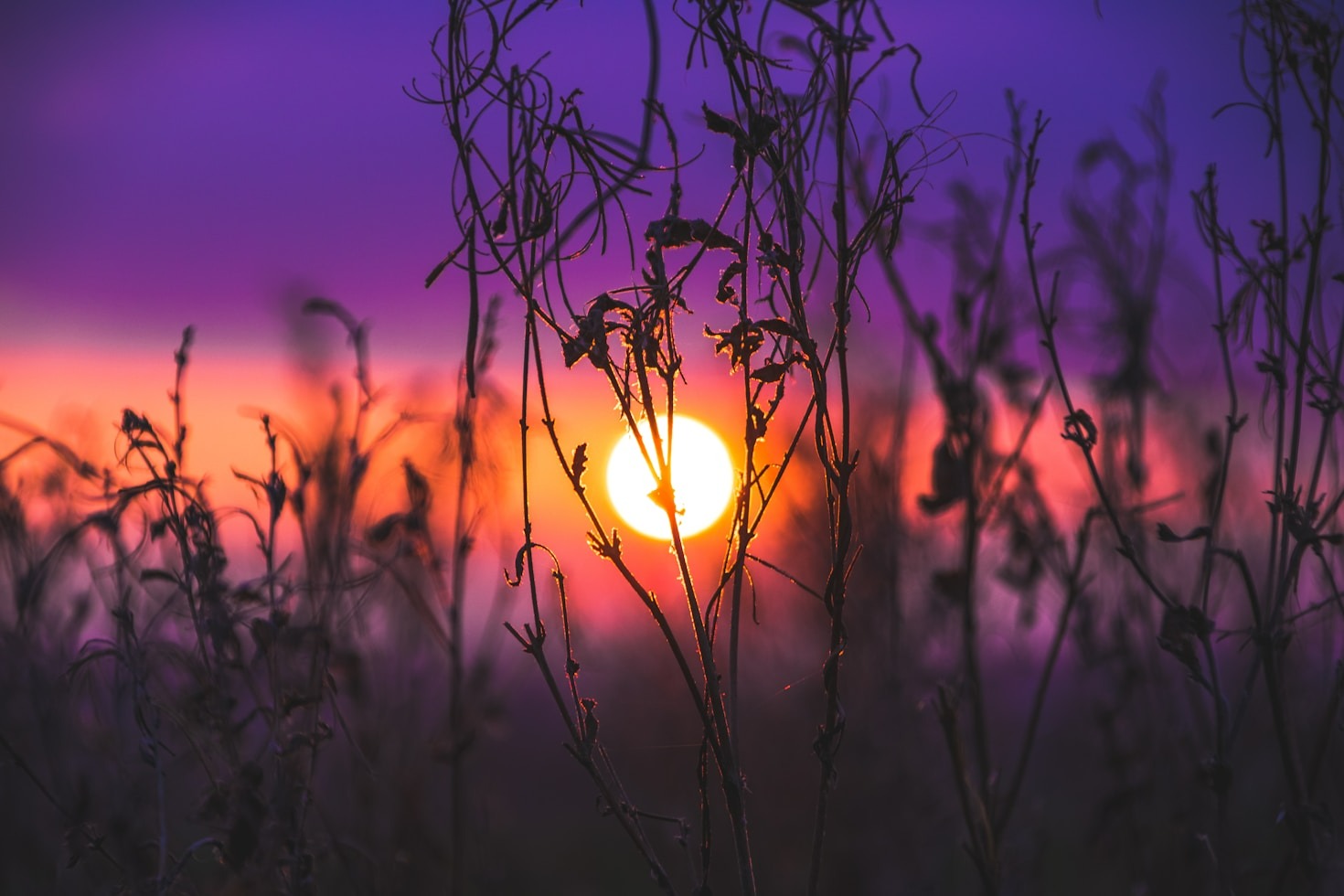 Combining Sound and Energy for Holistic Wellness