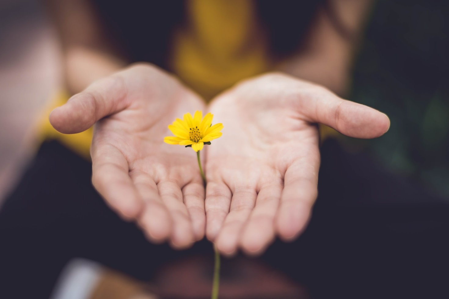 Self-Discovery Through Serenity and Mindfulness
